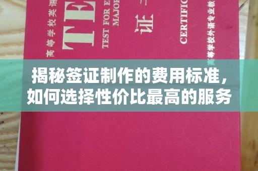 安徽揭秘签证制作的费用标准，如何选择性价比最高的服务？
