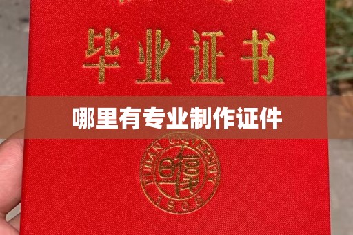 安徽哪里有专业制作证件